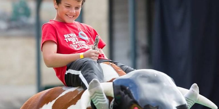 Mechanical Bull